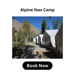 Homestays in nubra valley